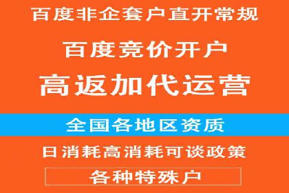 百度竞价广告的创意执行：成功案例详解